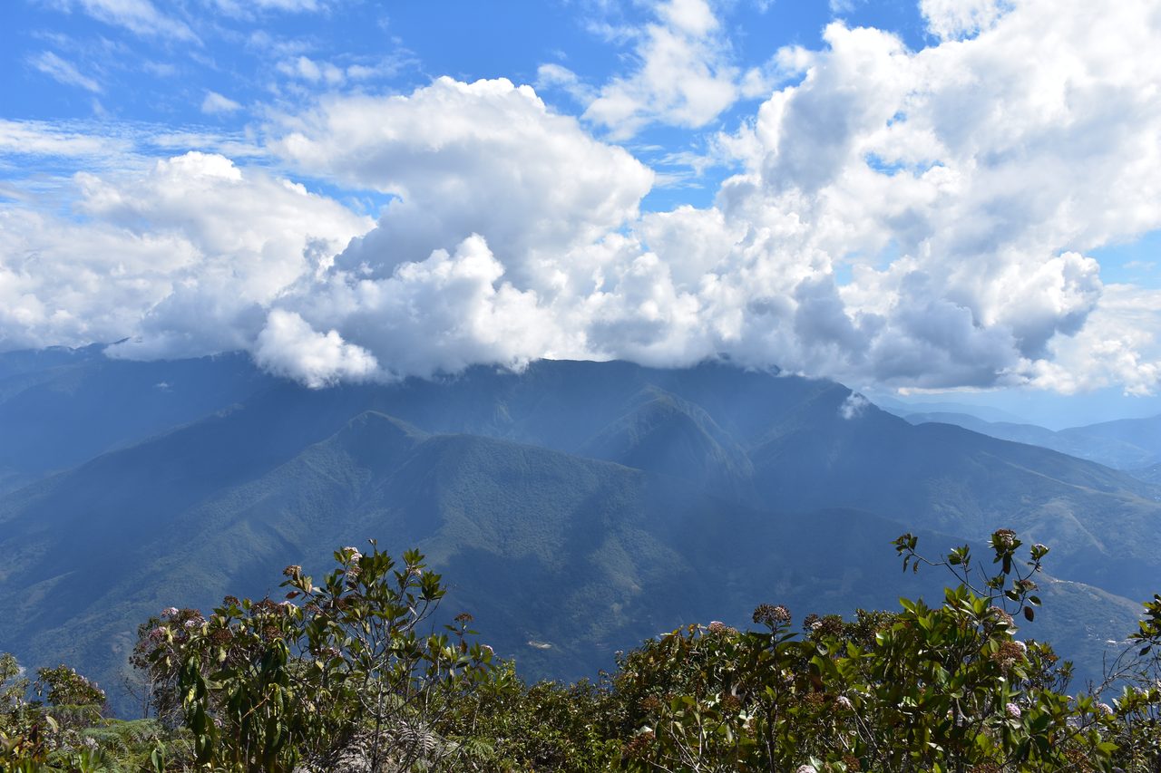 Coroico