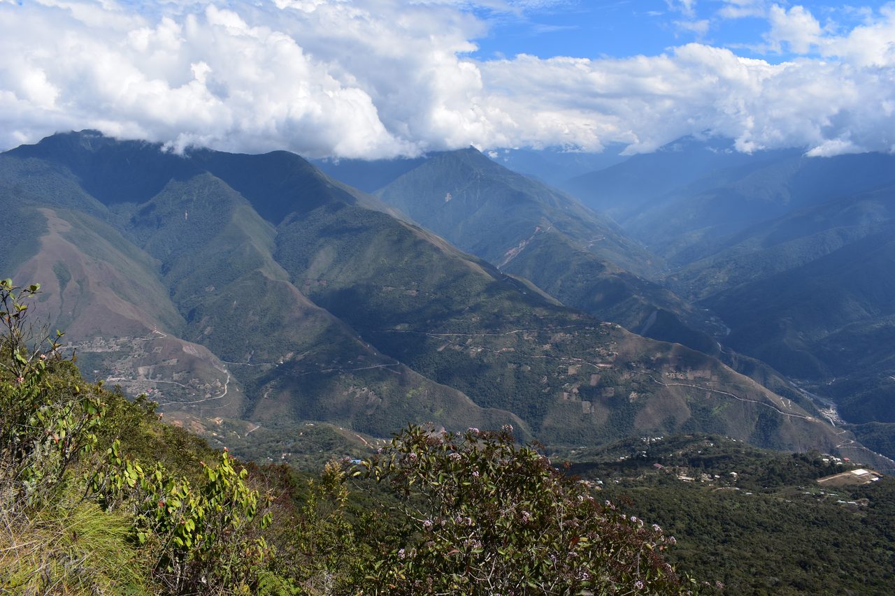 Coroico