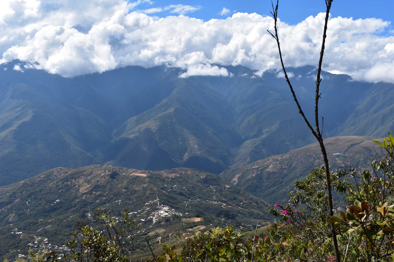 Coroico