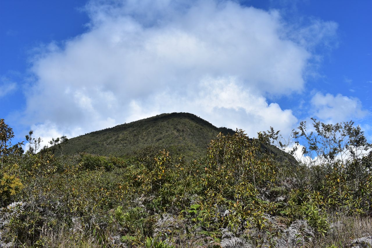 Coroico