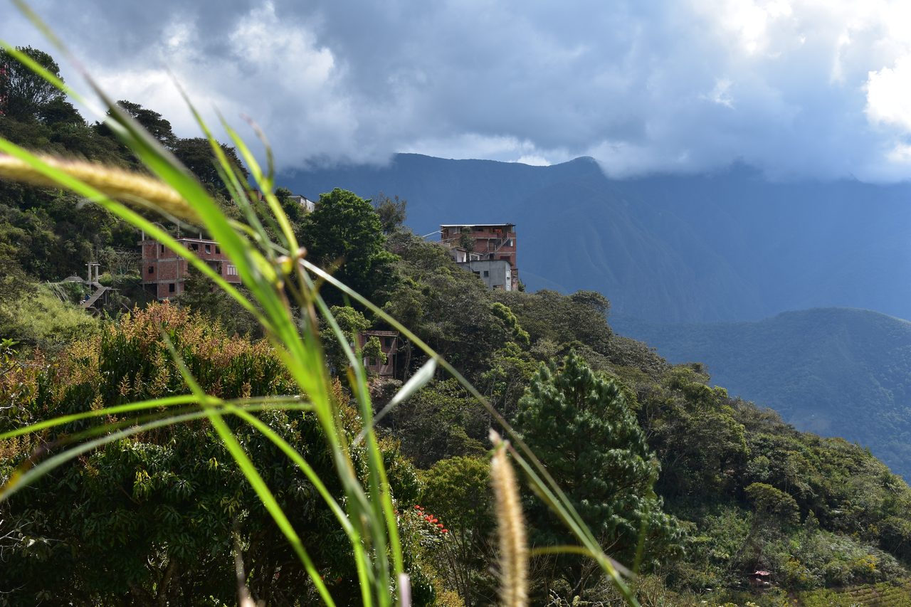 Coroico