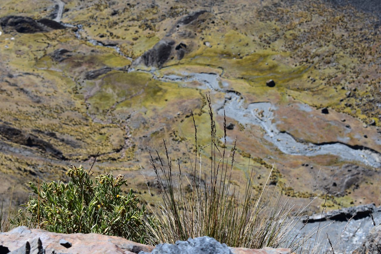 El Choro Trek, Day 2