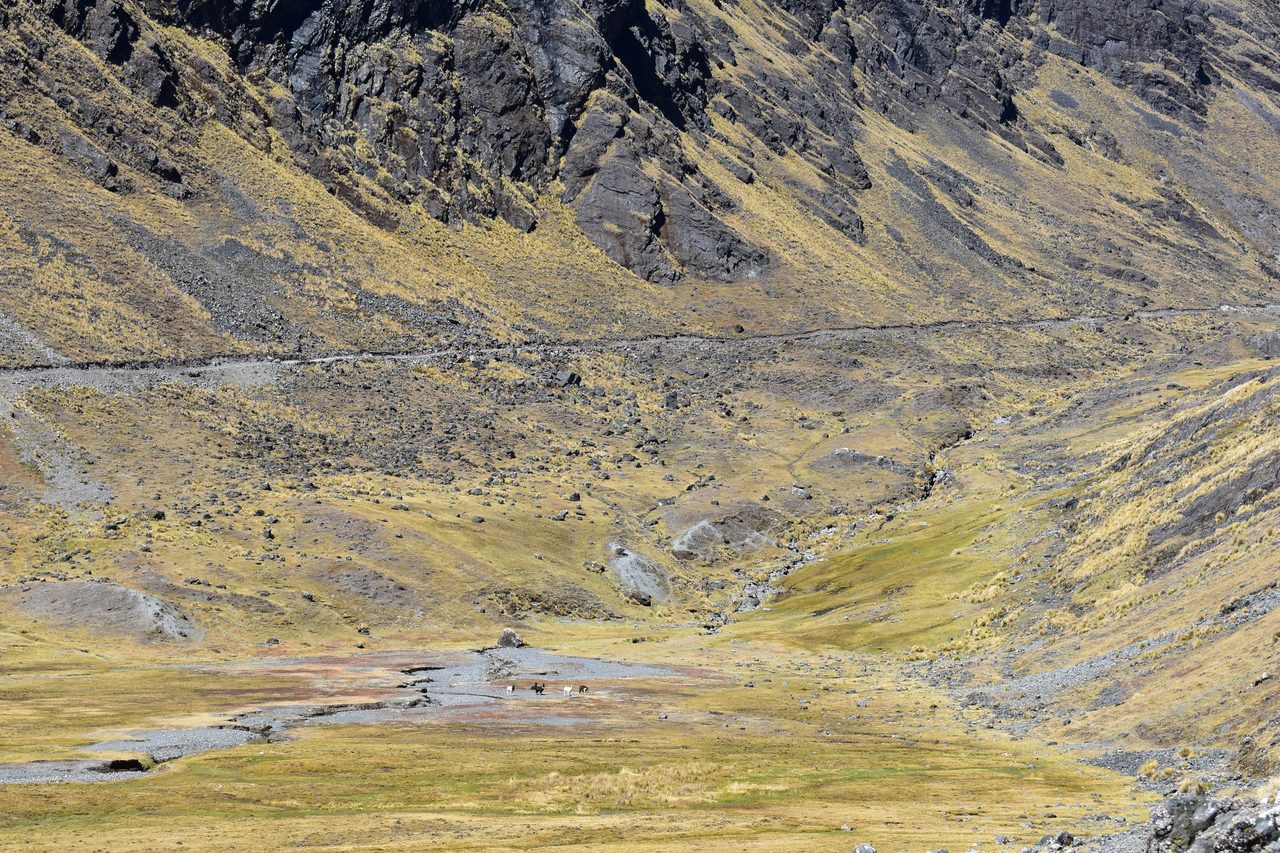 El Choro Trek, Day 2