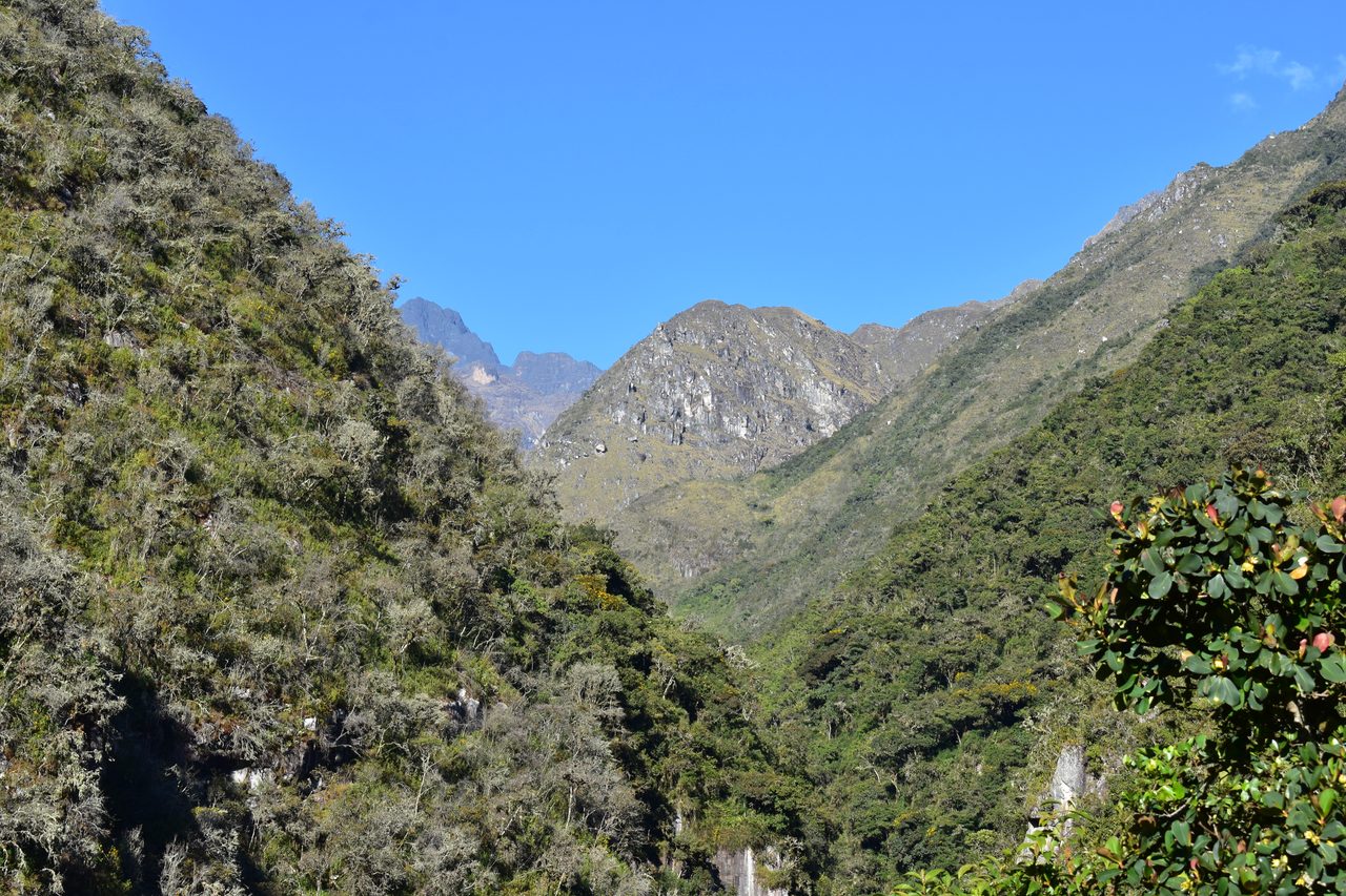 El Choro Trek, Day 1