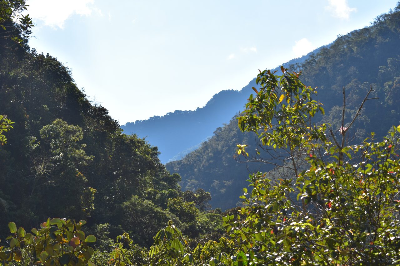 El Choro Trek, Day 3
