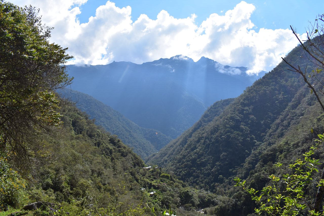 El Choro Trek, Day 2