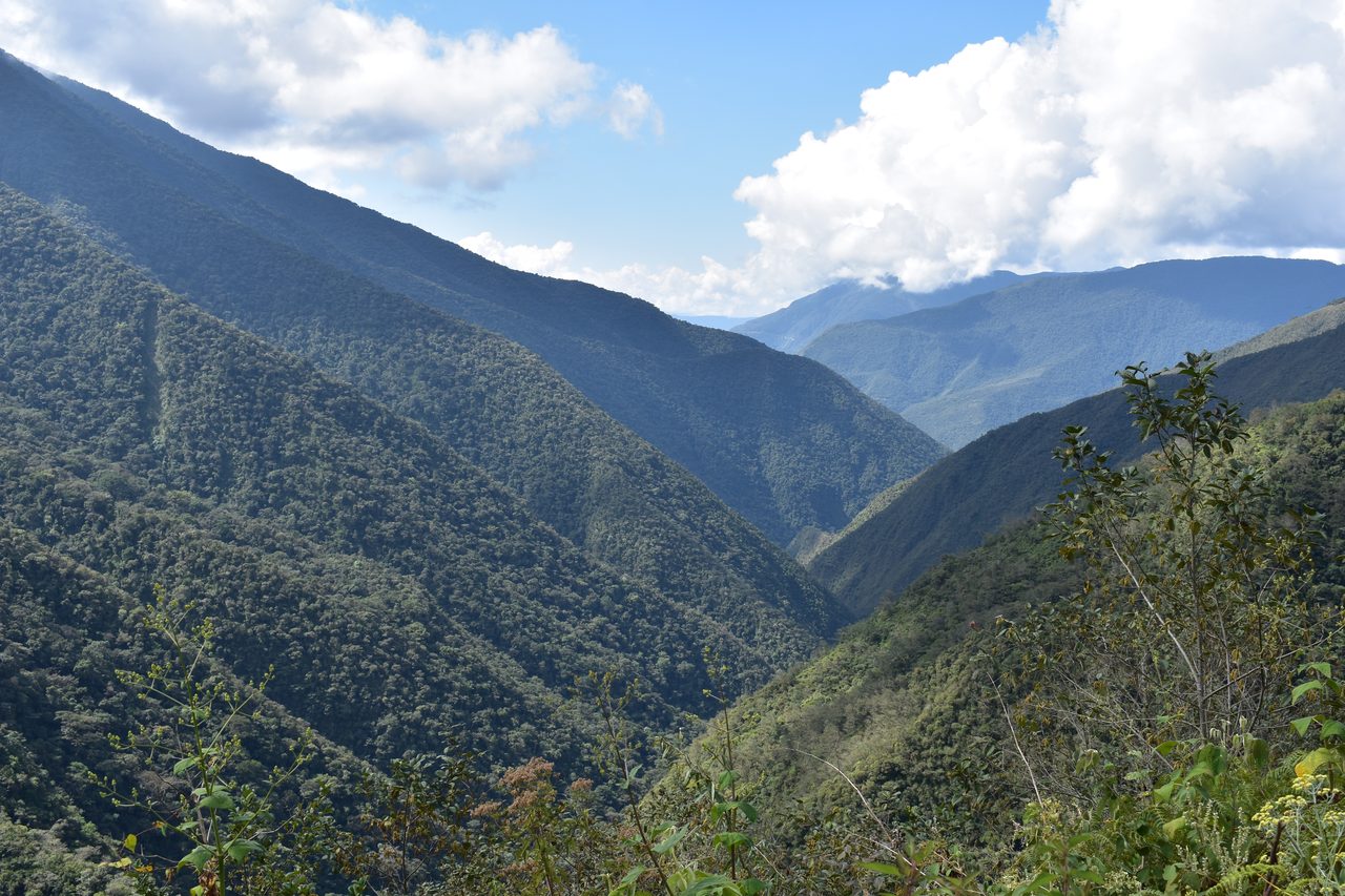El Choro Trek, Day 1