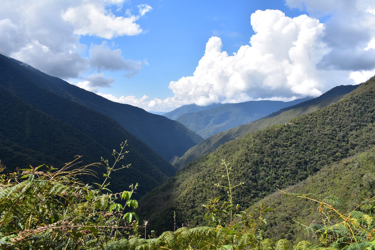 El Choro Trek, Day 1