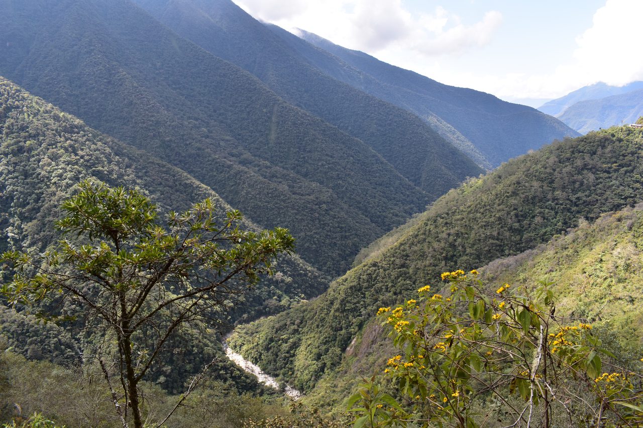 El Choro Trek, Day 1