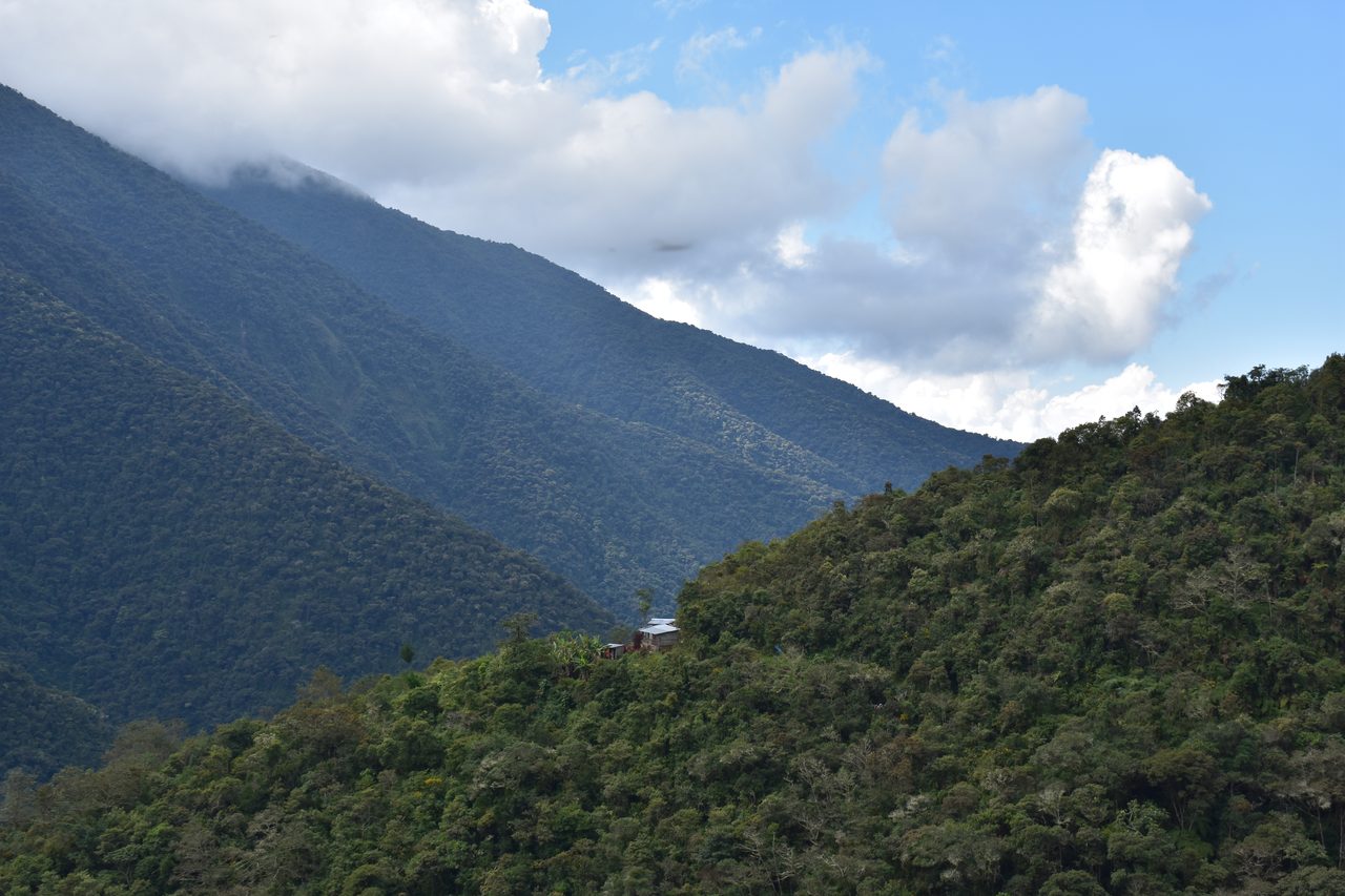 El Choro Trek, Day 1