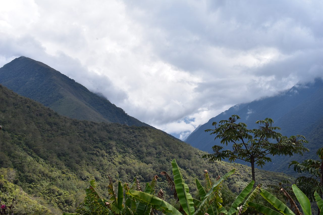 El Choro Trek, Day 1