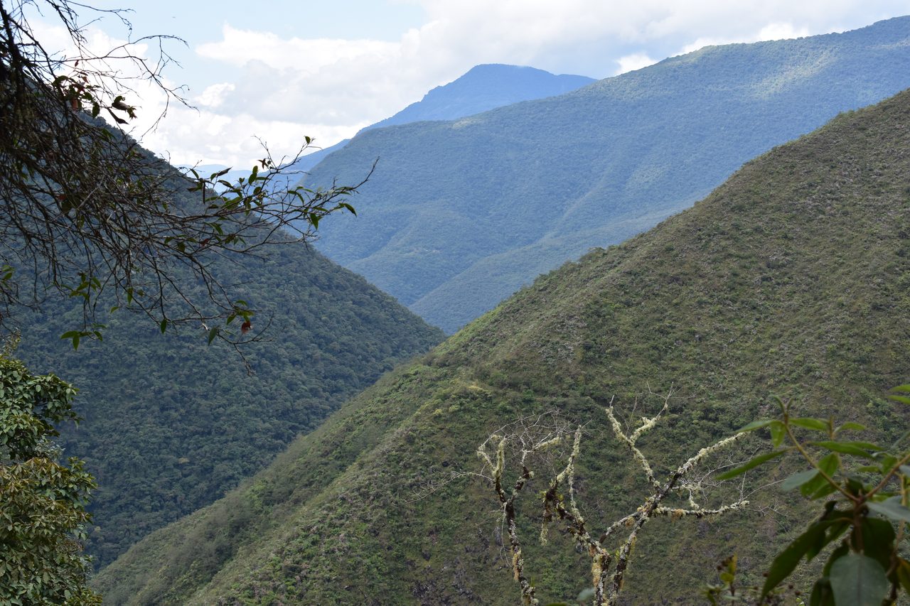 El Choro Trek, Day 1