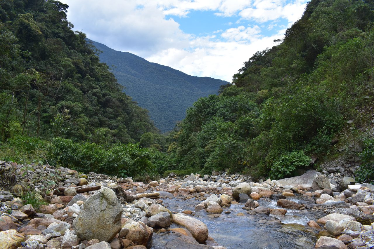 El Choro Trek, Day 1