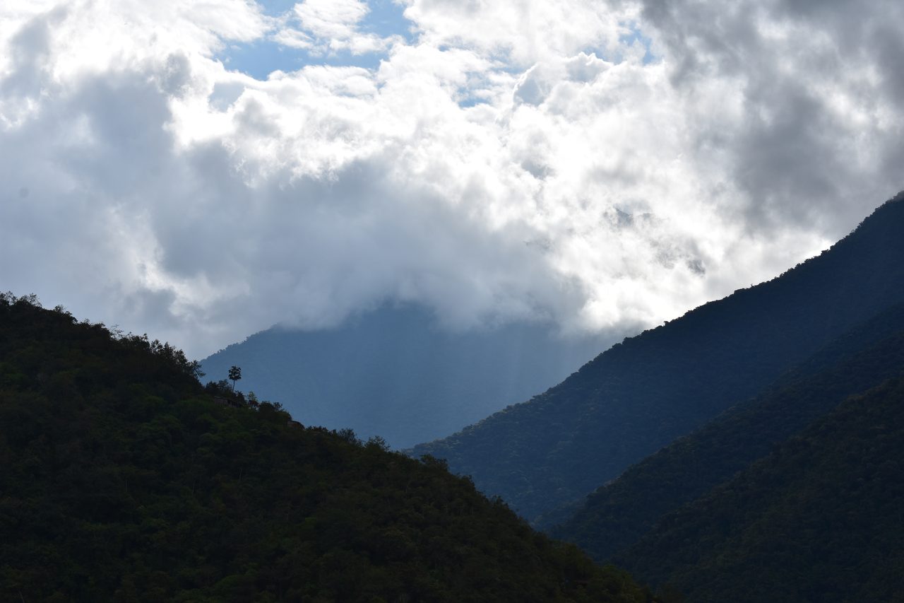 El Choro Trek, Day 1