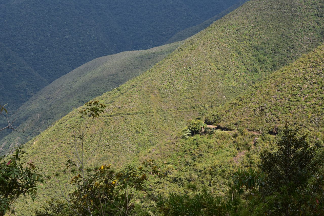 El Choro Trek, Day 1