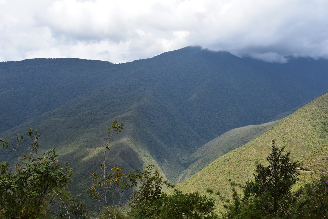 El Choro Trek, Day 1