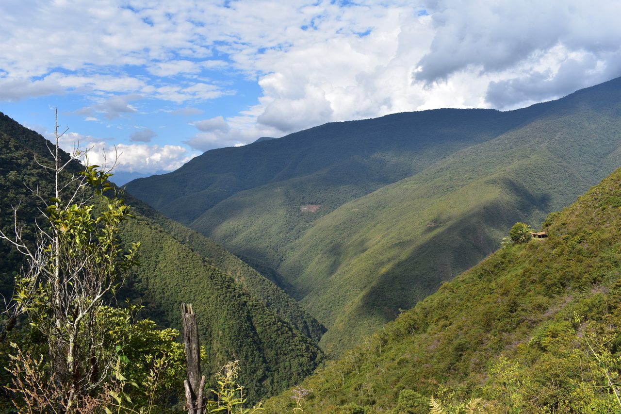 El Choro Trek, Day 1