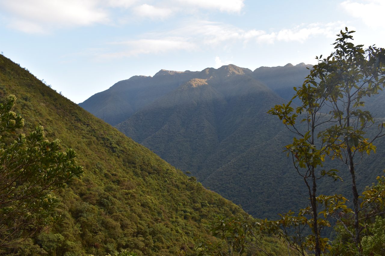 El Choro Trek, Day 3