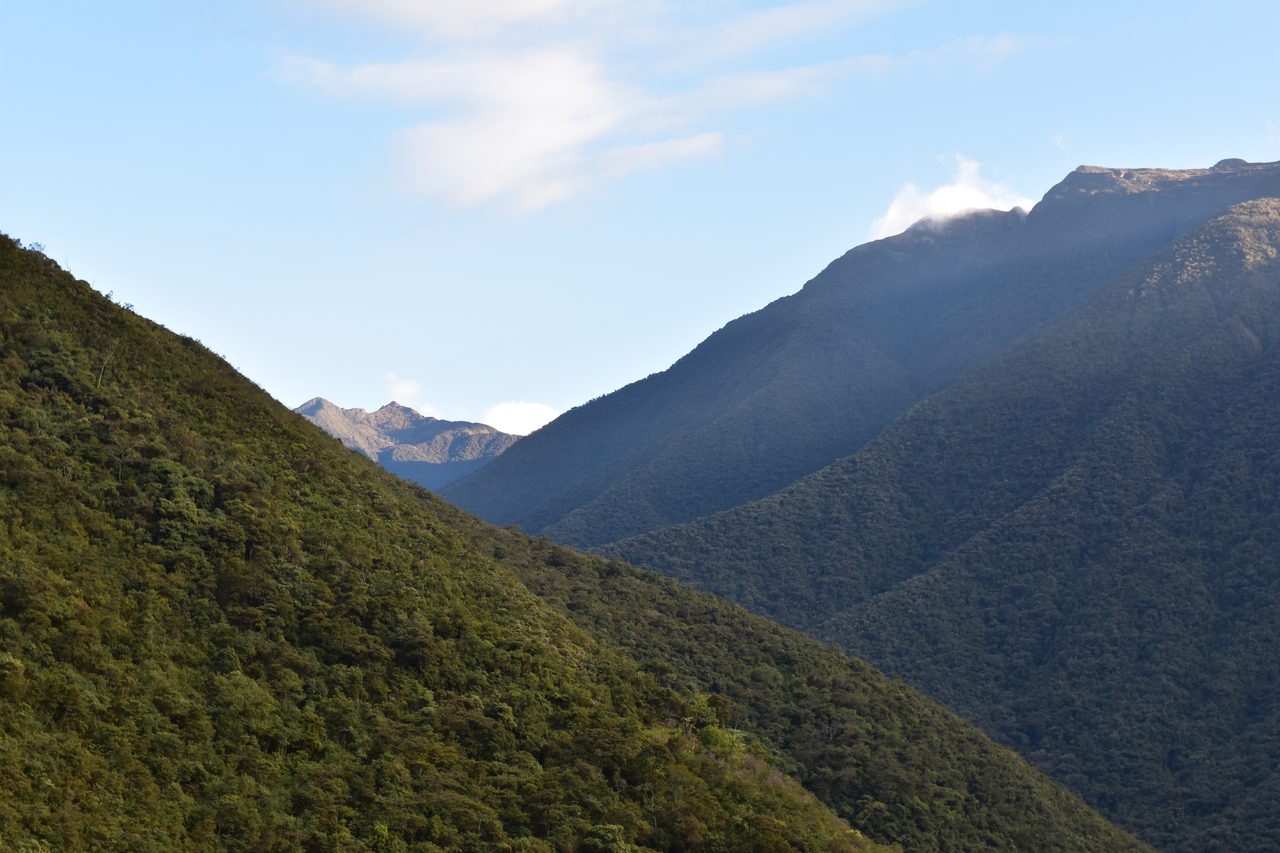 El Choro Trek, Day 3