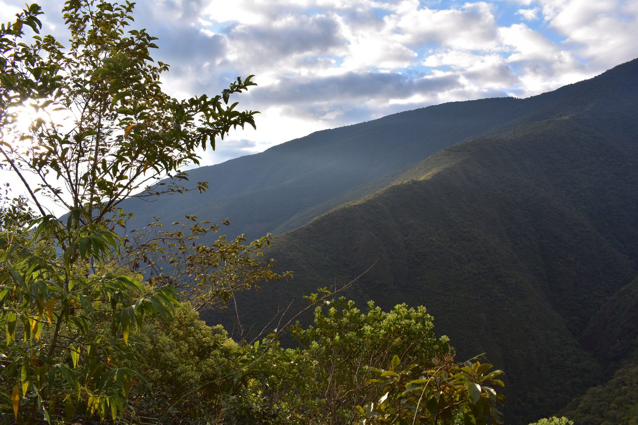 El Choro Trek, Day 3
