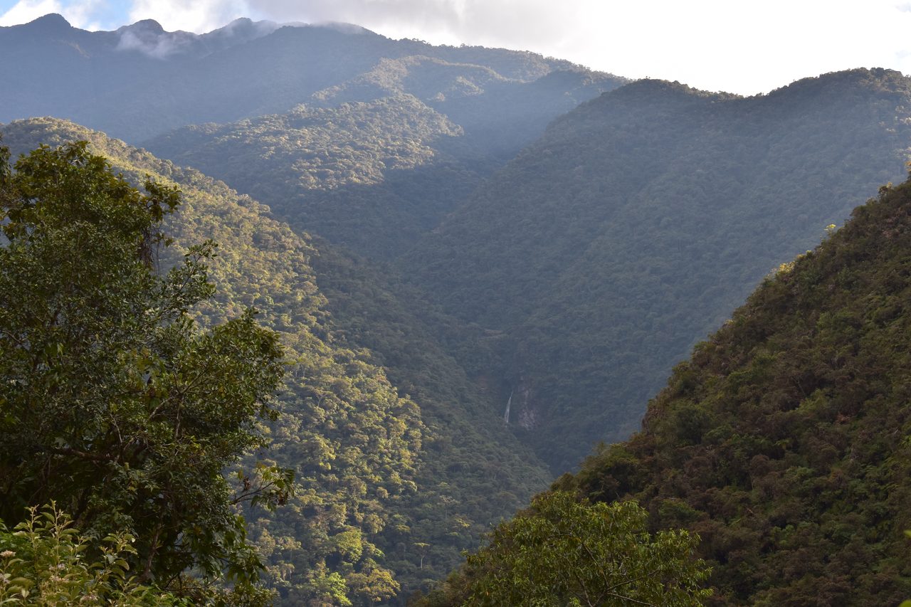 El Choro Trek, Day 3