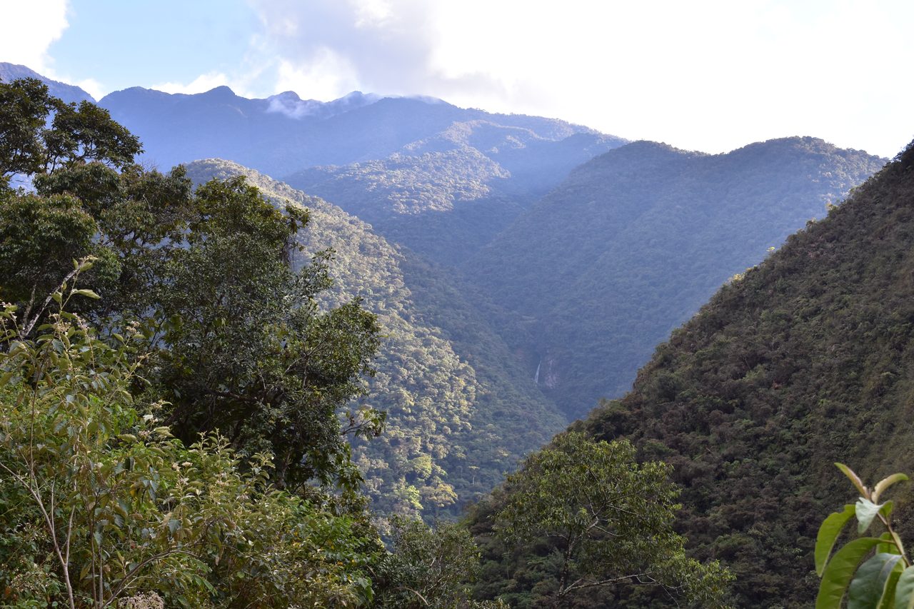 El Choro Trek, Day 3