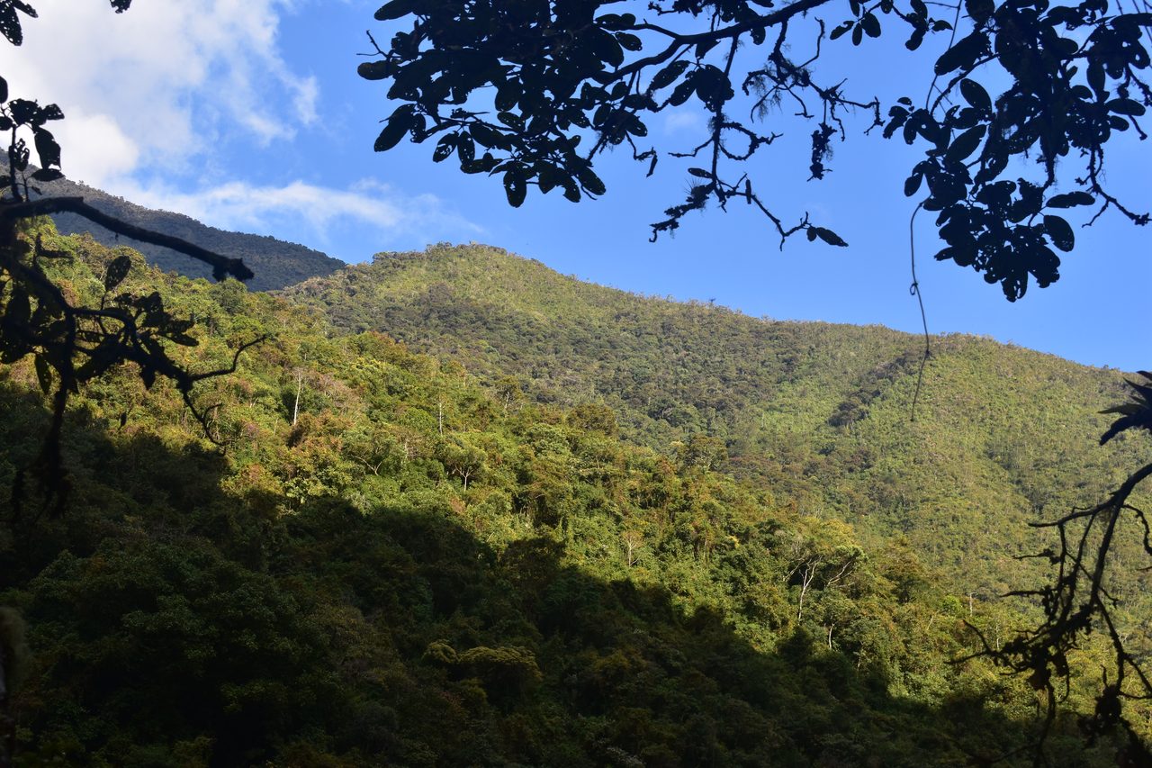 El Choro Trek, Day 3