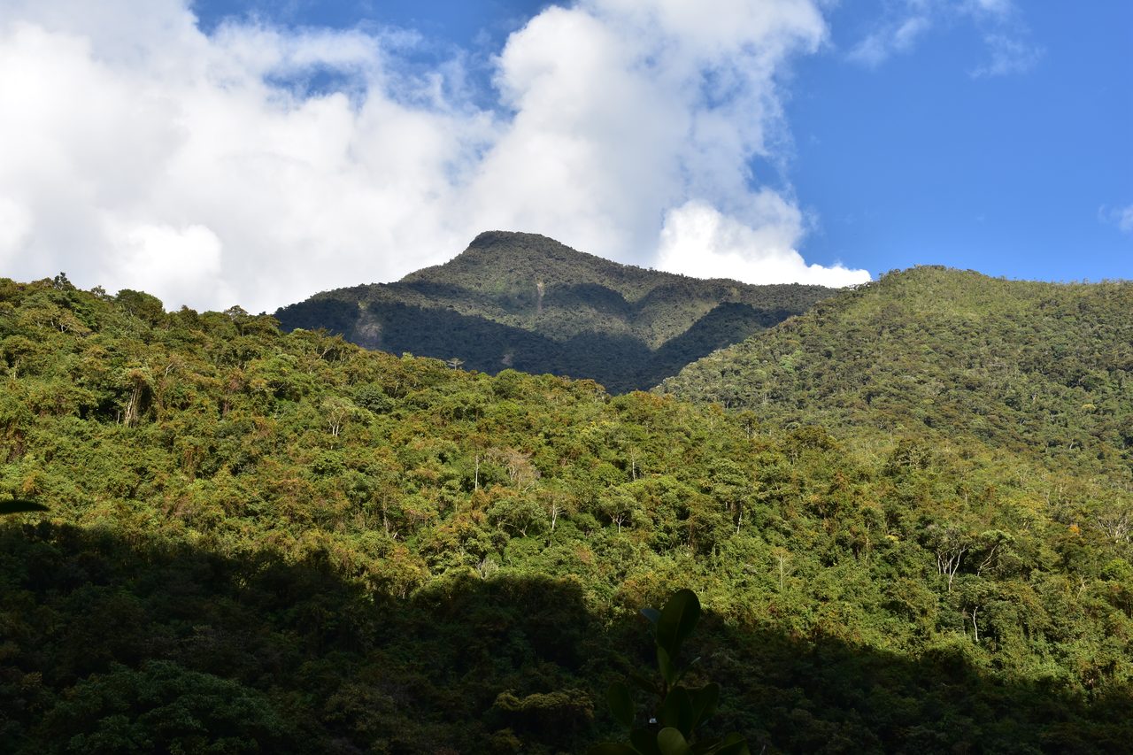 El Choro Trek, Day 3