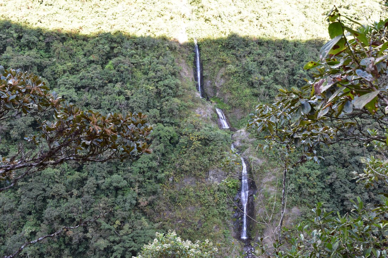 El Choro Trek, Day 3