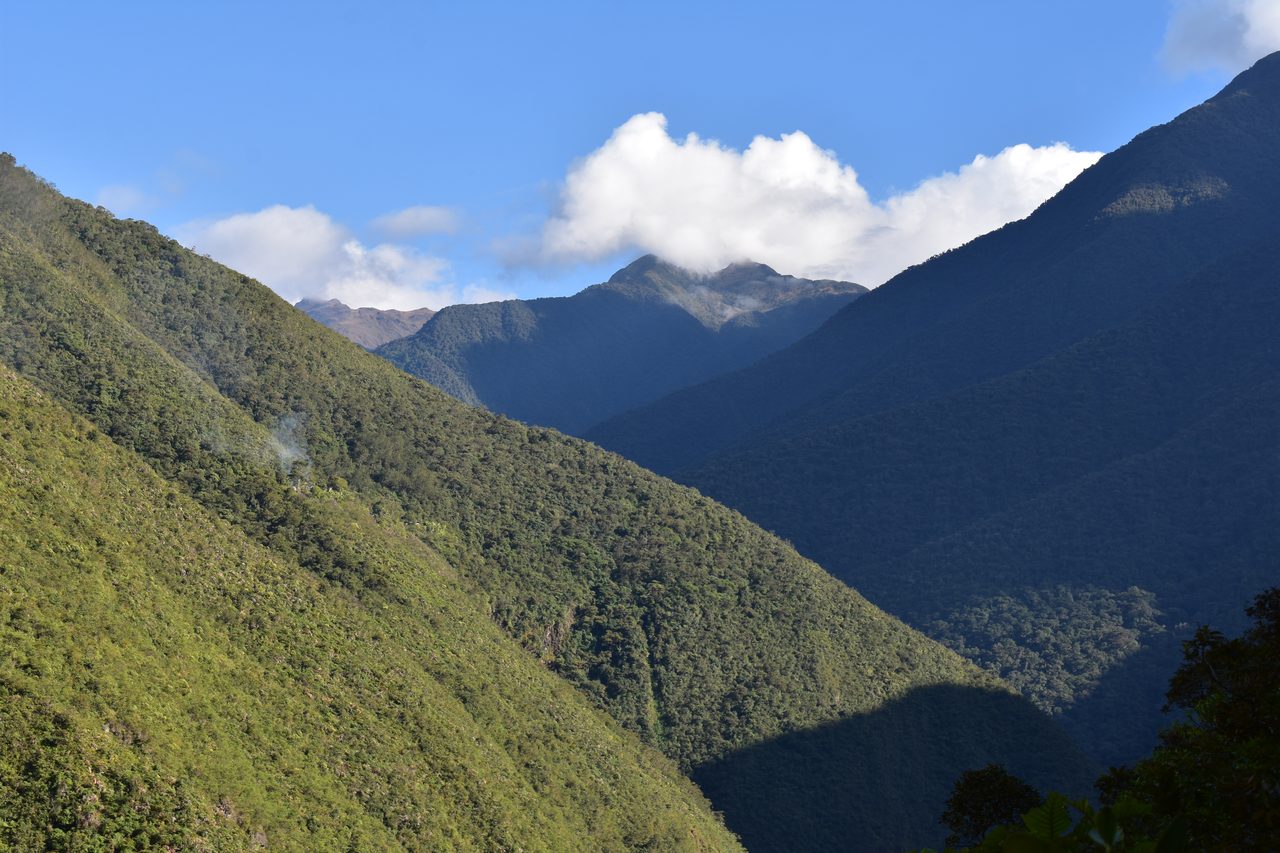 El Choro Trek, Day 3