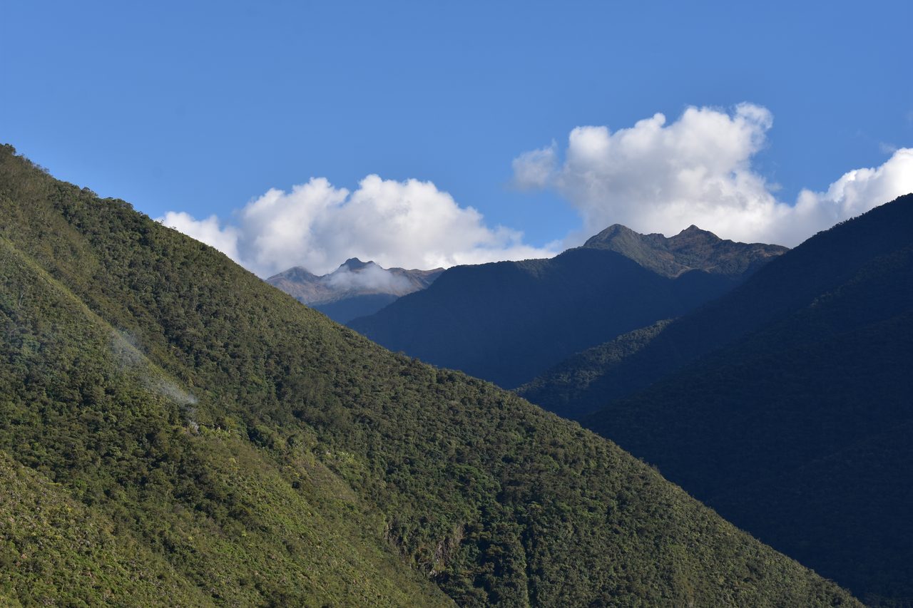 El Choro Trek, Day 3