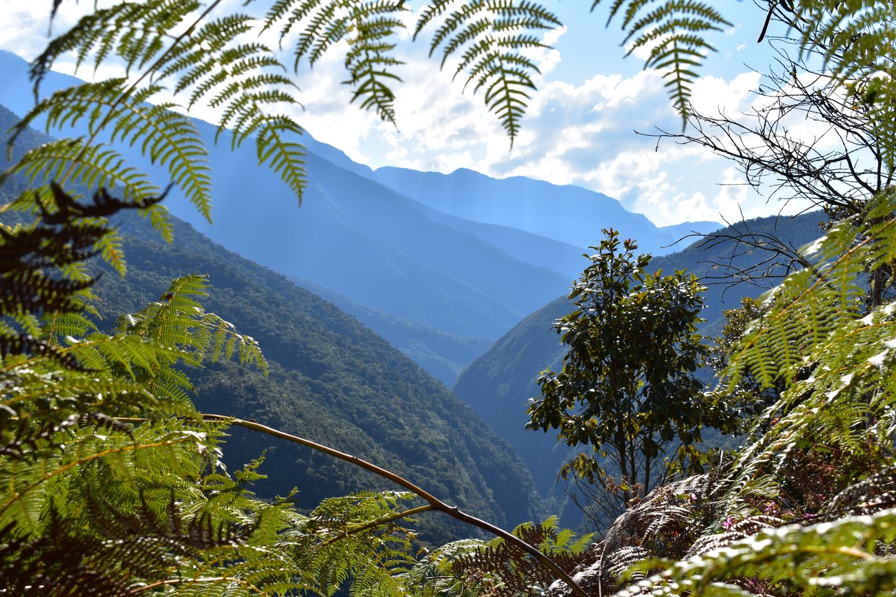 El Choro Trek, Day 3