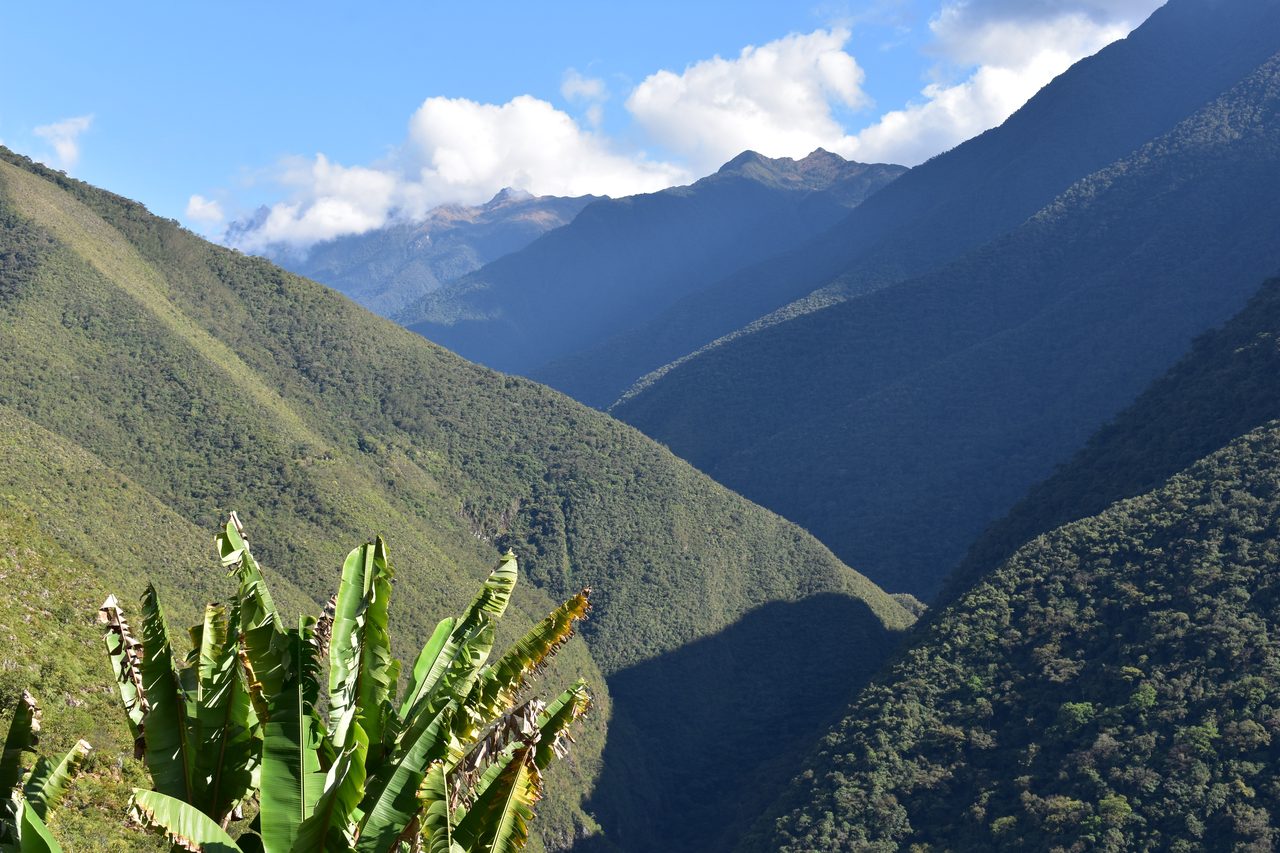 El Choro Trek, Day 3
