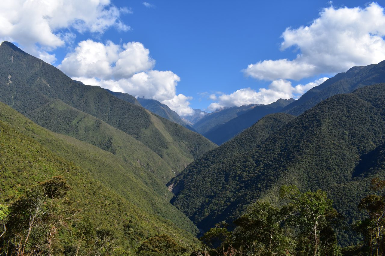 El Choro Trek, Day 3