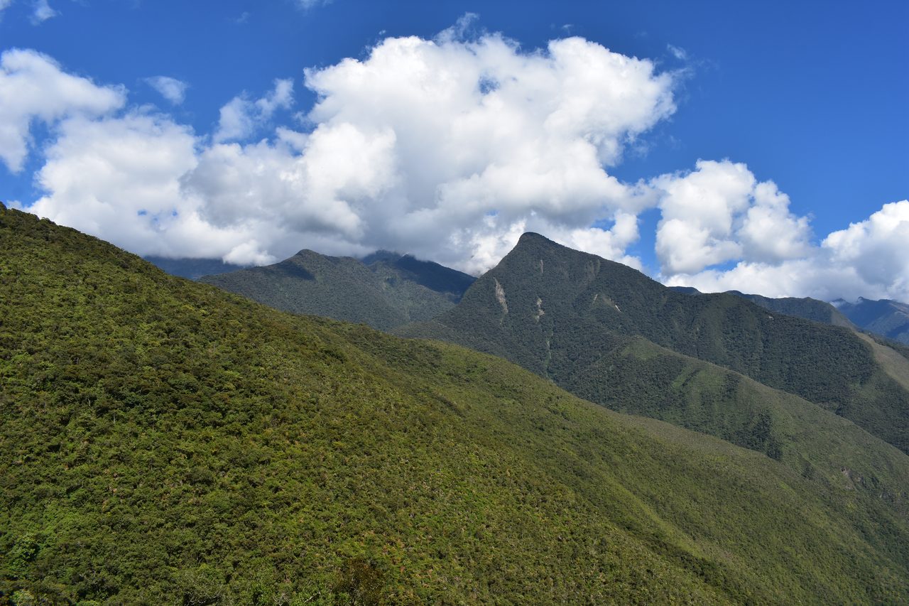 El Choro Trek, Day 3