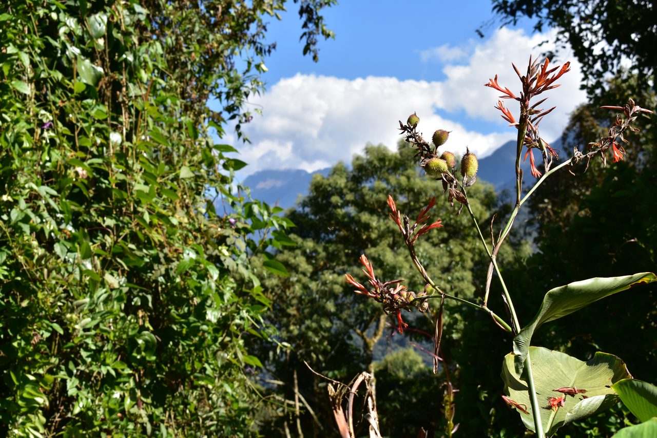 El Choro Trek, Day 3