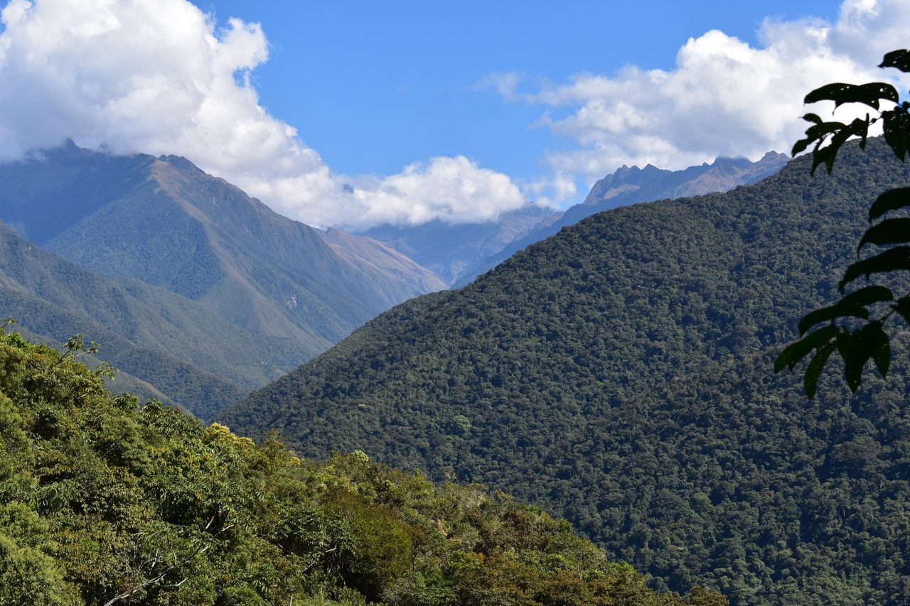 El Choro Trek, Day 3