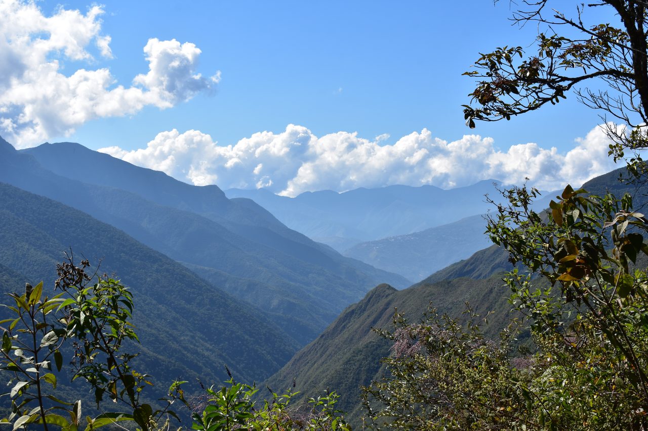 El Choro Trek, Day 3