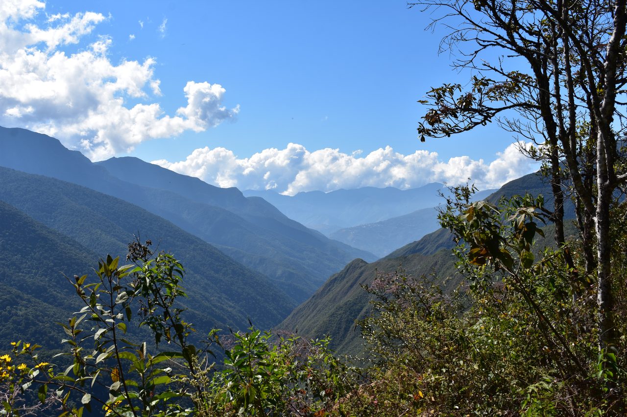 El Choro Trek, Day 3