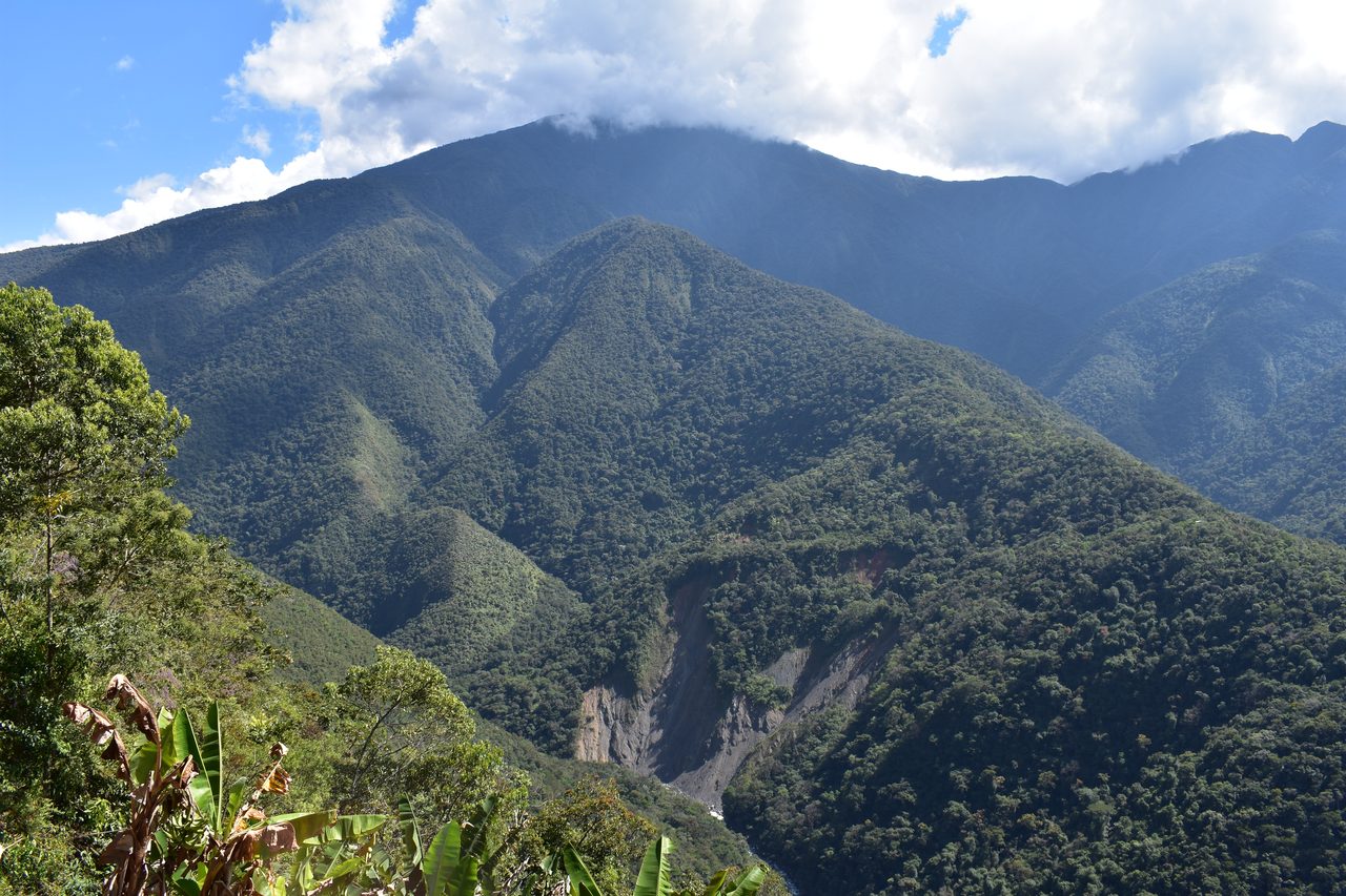 El Choro Trek, Day 3