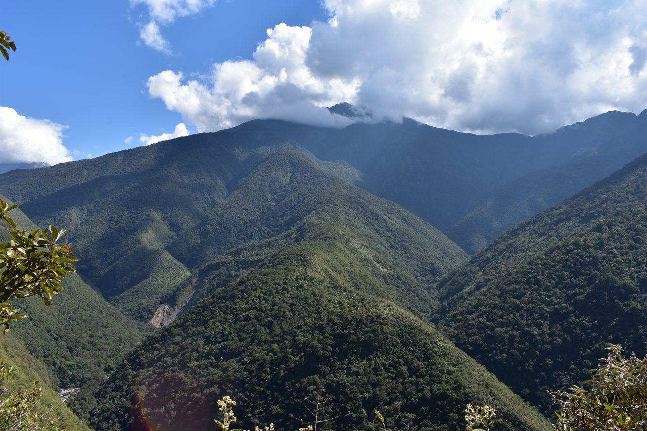 El Choro Trek, Day 3