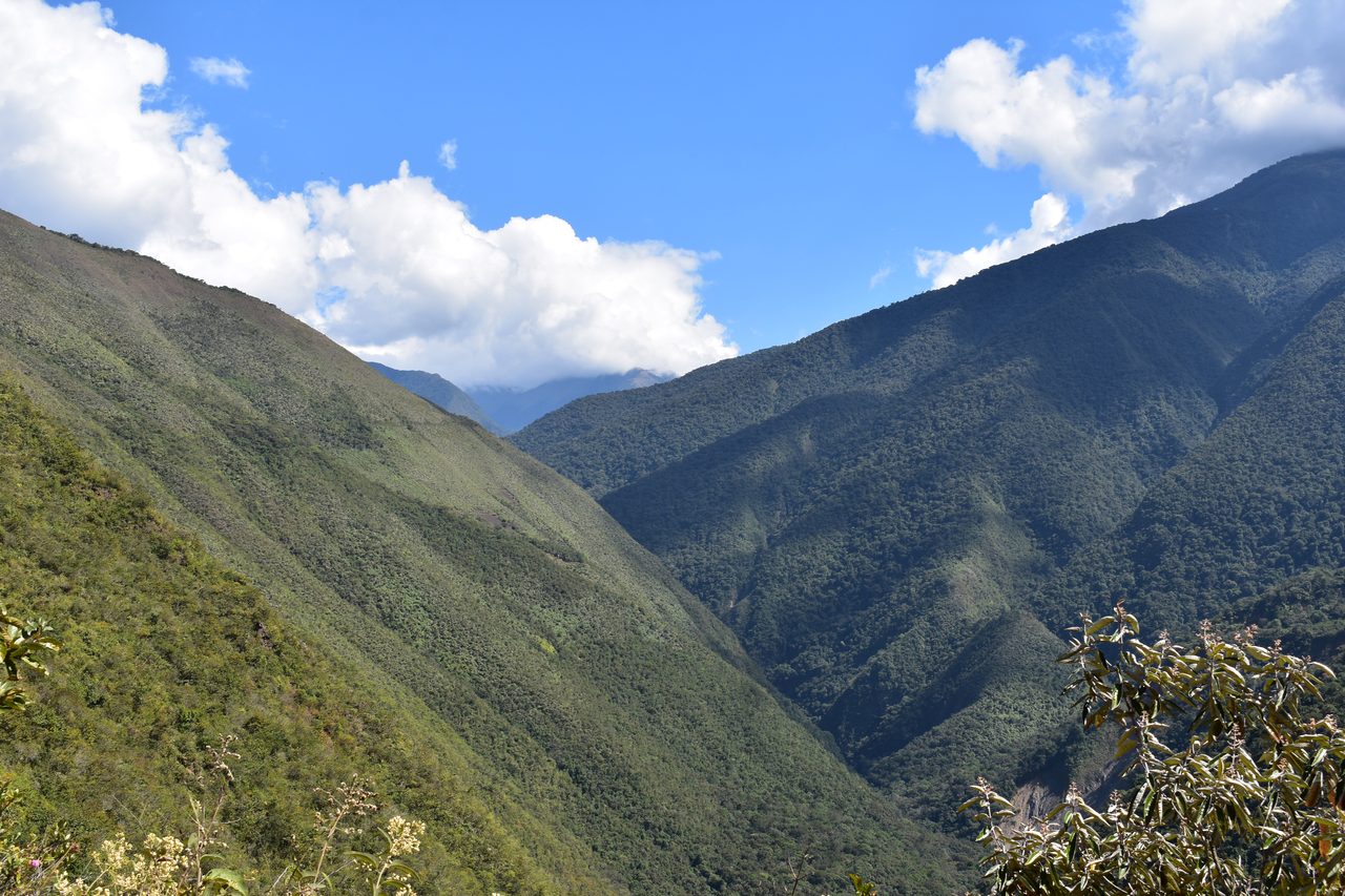 El Choro Trek, Bolivia