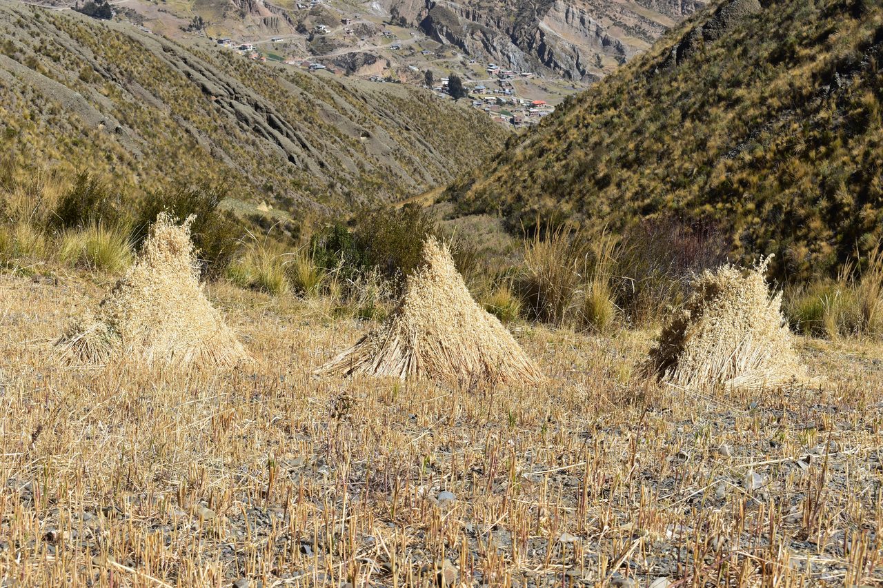 Valle de las Ánimas, La Paz