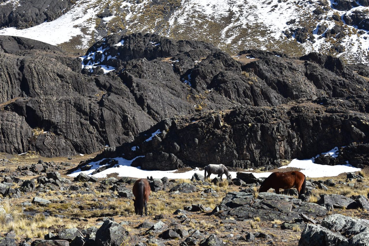 Pico Austria, La Paz