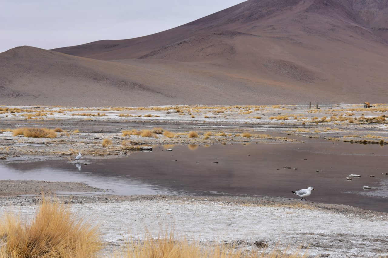 Salar de Uyuni Tour