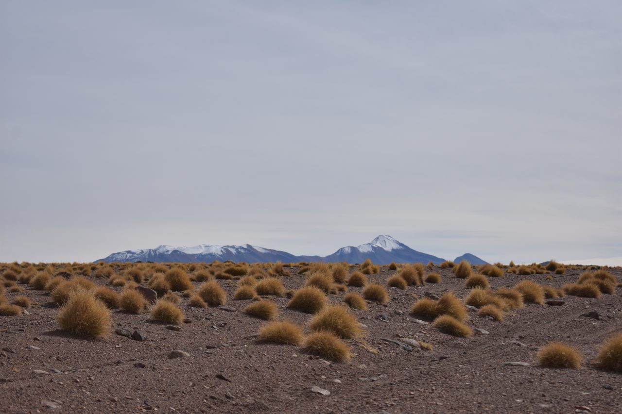 Salar de Uyuni Tour