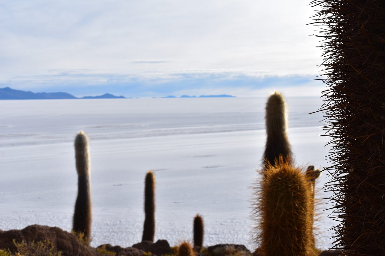Salar de Uyuni Tour