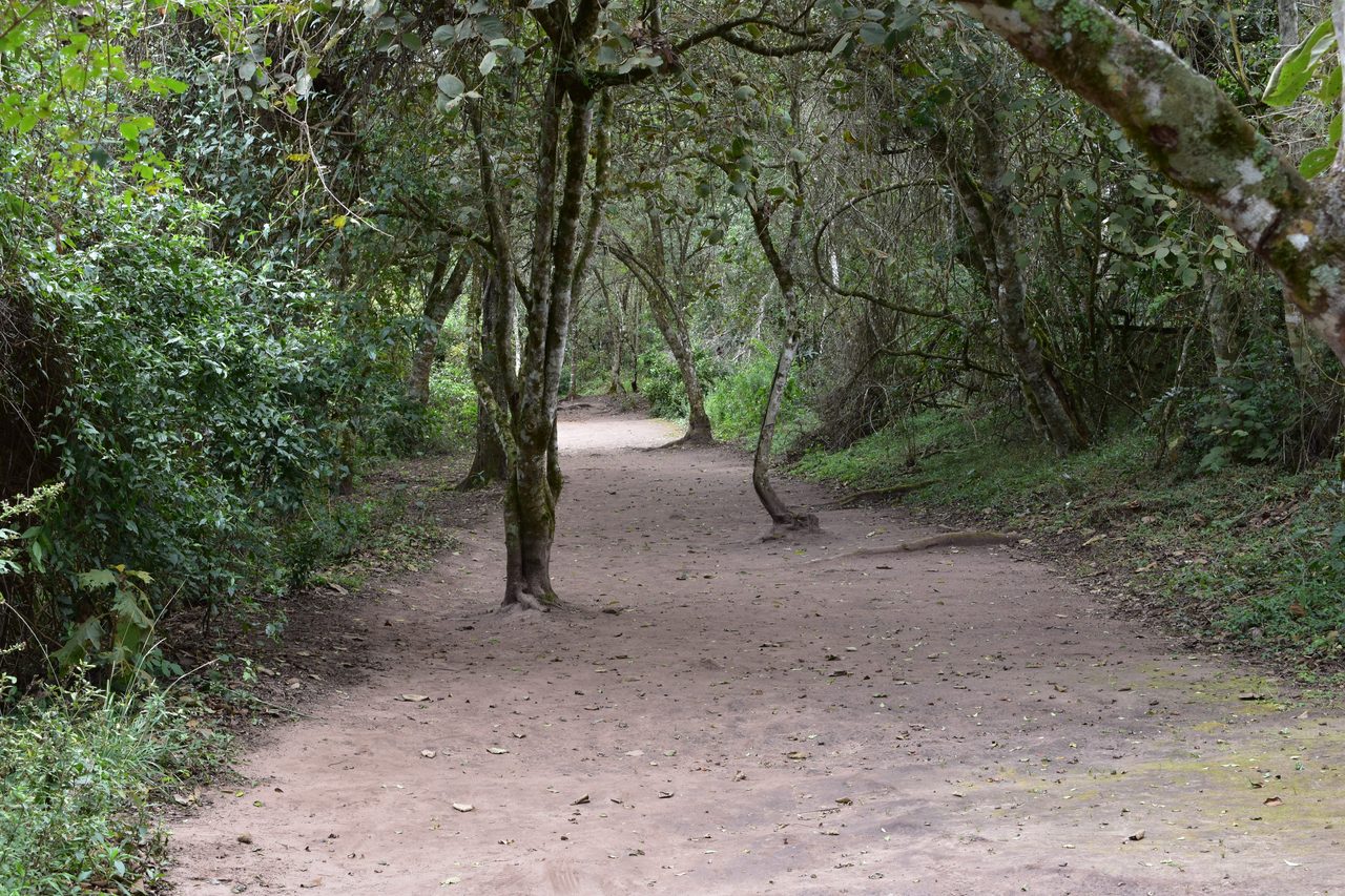 Samaipata and El Furte