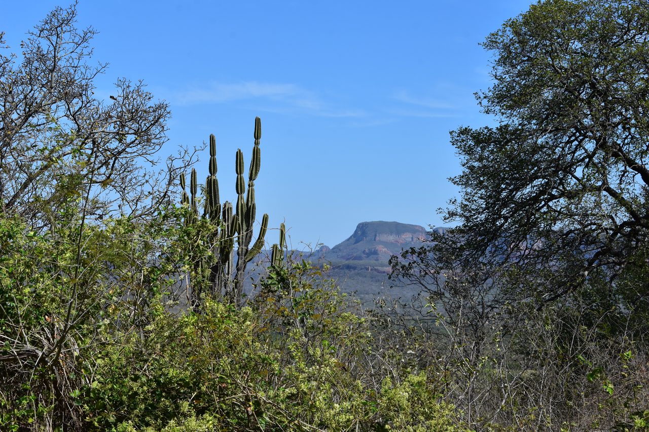 San José de Chiquitos, Cerro de Chochis and Aguas Caliente