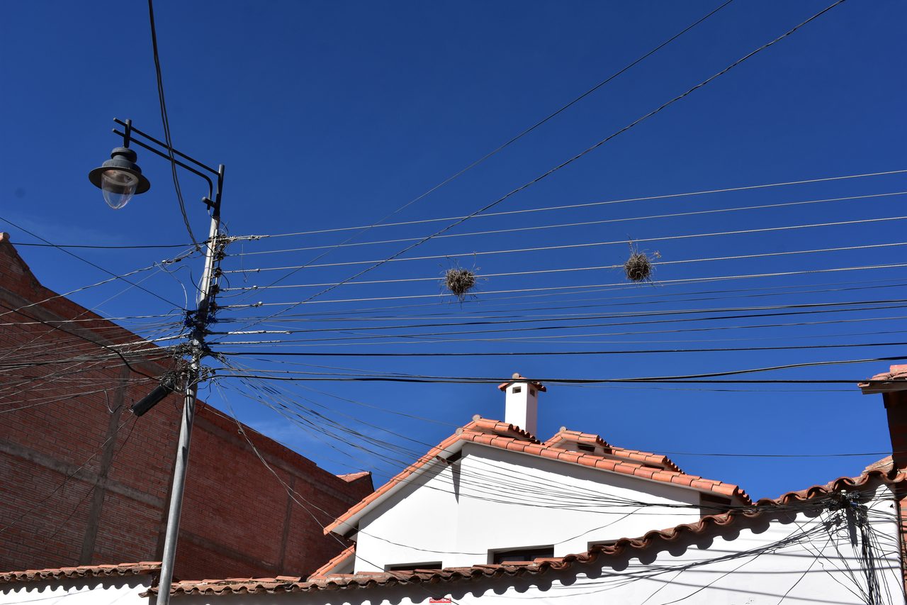 Sucre